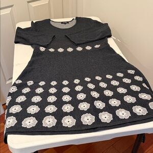 NWT Sweater Dress Valentine Ready! Office Casual Fit & Flare Modern Twee  Large